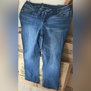 Lane Bryant Jeans - Size 22T
